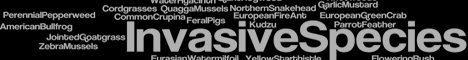 click here to report an invasive species in BC